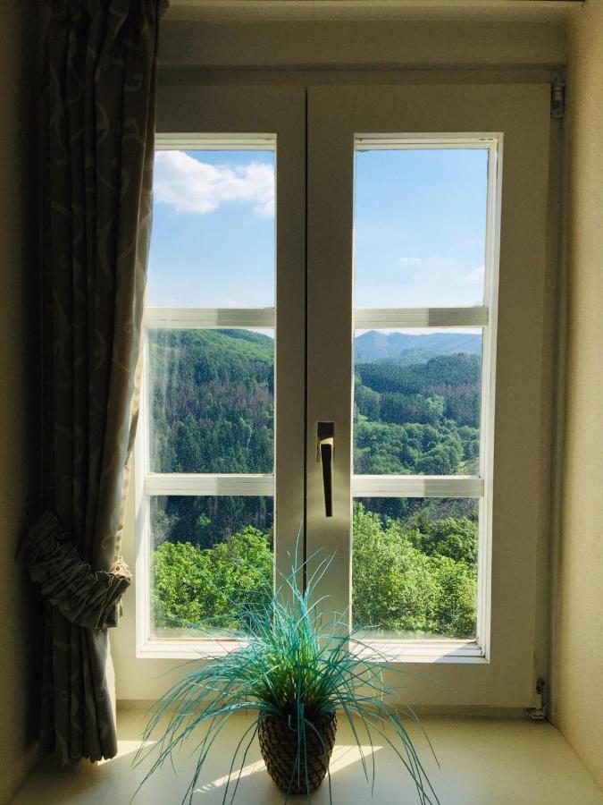 Apartament Schloss Wittgenstein Bad Laasphe Zewnętrze zdjęcie